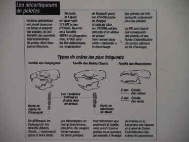 les dcortiqueurs