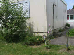 plantes mellifres